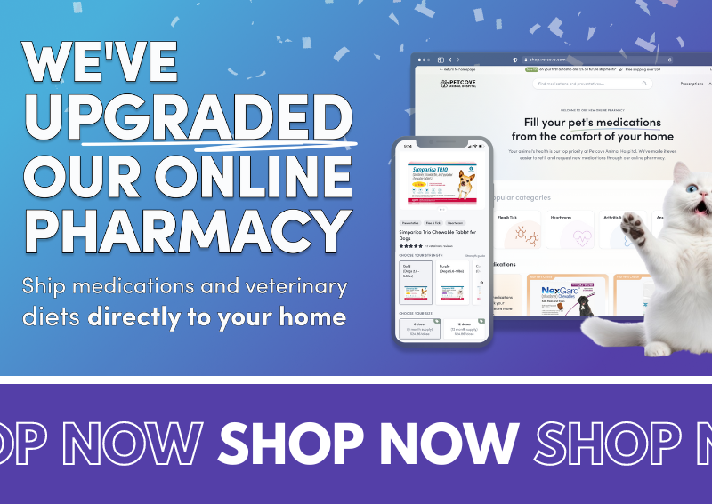 Carousel Slide 2: Visit our new and improved pet pharmacy and store!